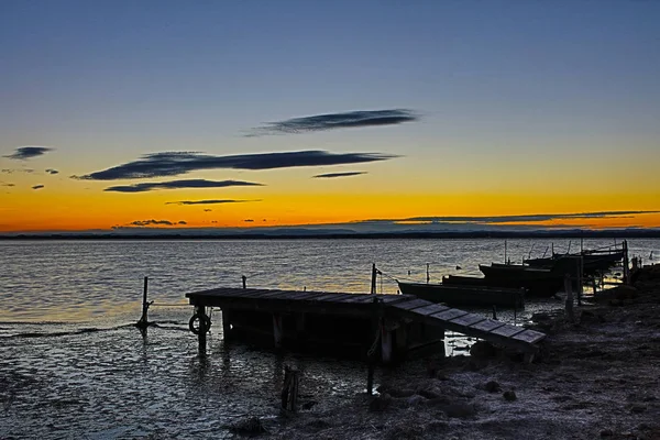 Landschap Van Franse Camargue — Stockfoto