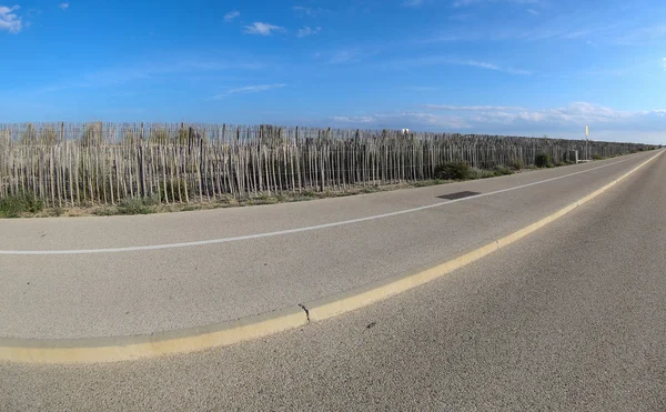 Landschaft Der Französischen Camargue — Stockfoto