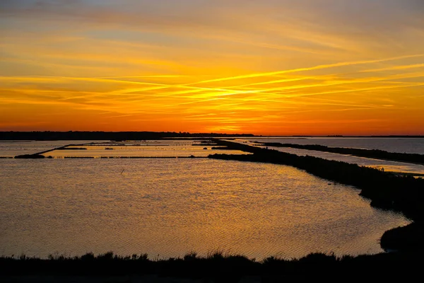 Fransızca Camargue Peyzaj — Stok fotoğraf