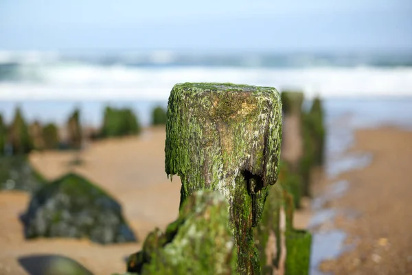 Paysage Français Biarritz — Photo