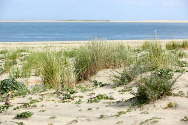 Fransızca Atlantik sahil peyzaj