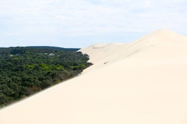 Fransızca Atlantik sahil peyzaj