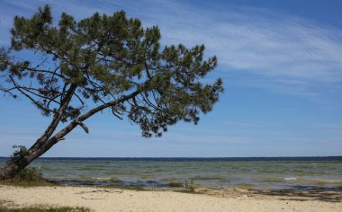 Fransızca Atlantik sahil peyzaj