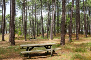 Fransızca Atlantik sahil peyzaj