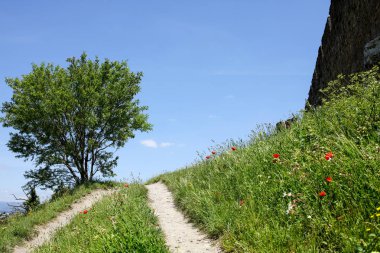 Fransızca Atlantik sahil peyzaj