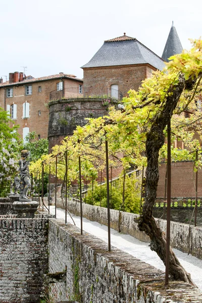 Fransızca Atlantik sahil peyzaj