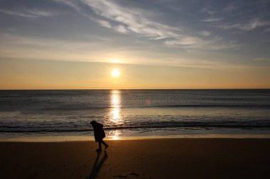 Fransızca Atlantik sahil peyzaj