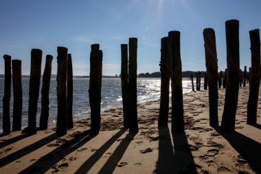 Fransızca Atlantik sahil peyzaj