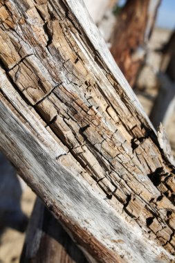 Fransızca Atlantik sahil peyzaj