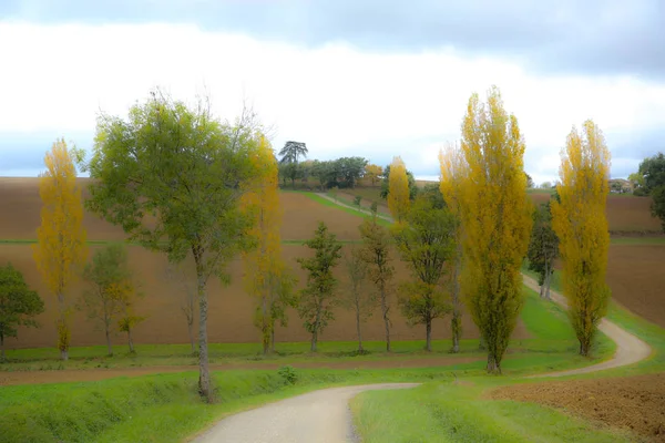 Paisagem Costeira Atlântica Francesa — Fotografia de Stock