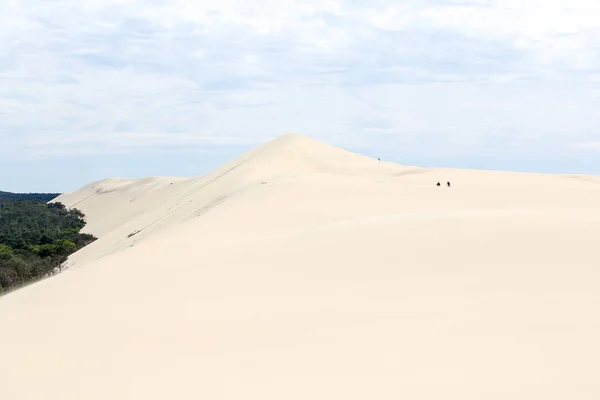 Paisagem Costeira Atlântica Francesa — Fotografia de Stock