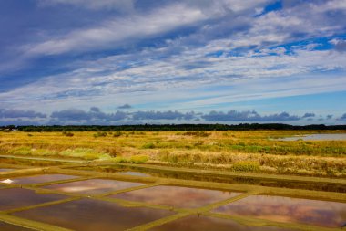 Fransızca Atlantik sahil peyzaj