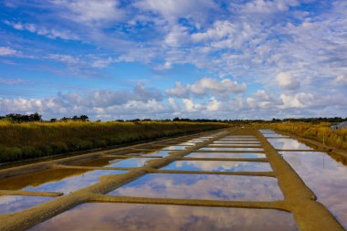 Fransızca Atlantik sahil peyzaj