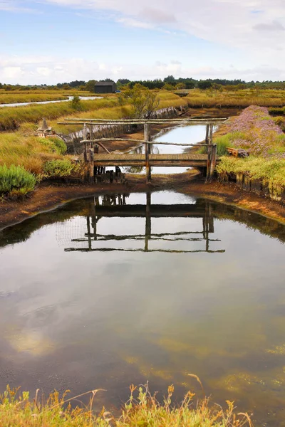 Franse Atlantische Kust Landschap — Stockfoto