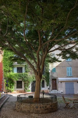 Saint Tropez Körfezi manzara 