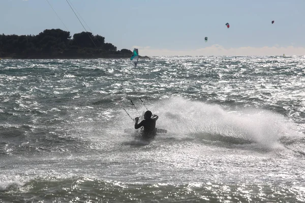 Cerf Volant Surfeur Action — Photo