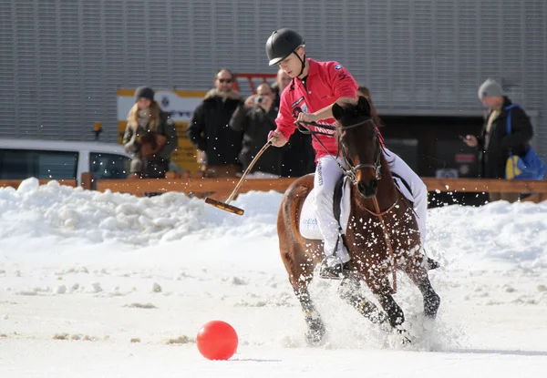 Competizione Invernale Polo — Foto Stock