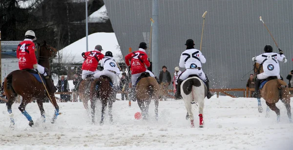 Winter Competition Polo — Stock Photo, Image