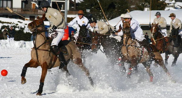 Zimowy Konkurs Polo — Zdjęcie stockowe