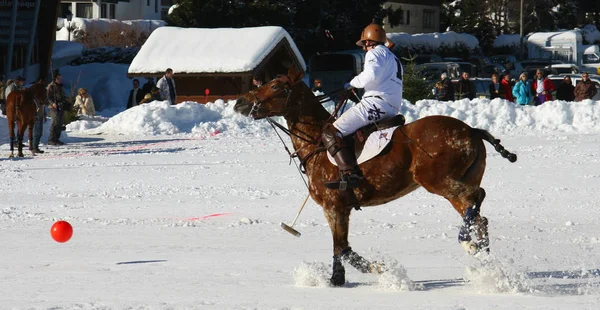 Compétition Hivernale Polo — Photo