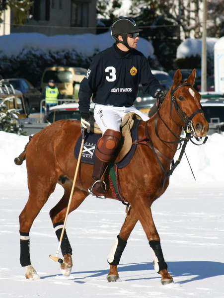 Zimowy Konkurs Polo — Zdjęcie stockowe