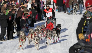 köpek kızağı yarış grande odysse 