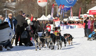 köpek kızağı yarış grande odysse 