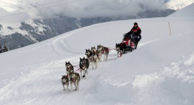 köpek kızağı yarış grande odysse 