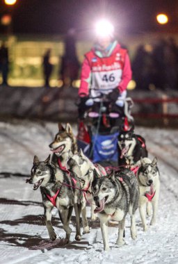 köpek kızağı yarış grande odysse 