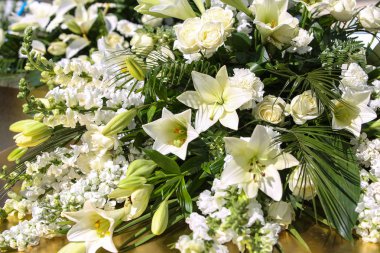 çiçek güzel güç