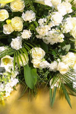 çiçek güzel güç