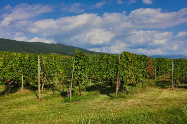 Husseren les şato eski şehir 
