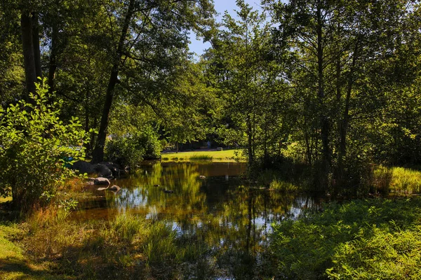 Der gerardmer see in frankreich — Stockfoto