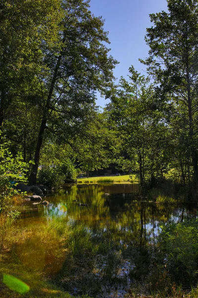 Fransa'da Gerardmer gölü