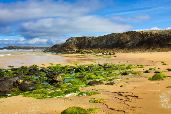 Côte Sauvage Quiberon France — Photo