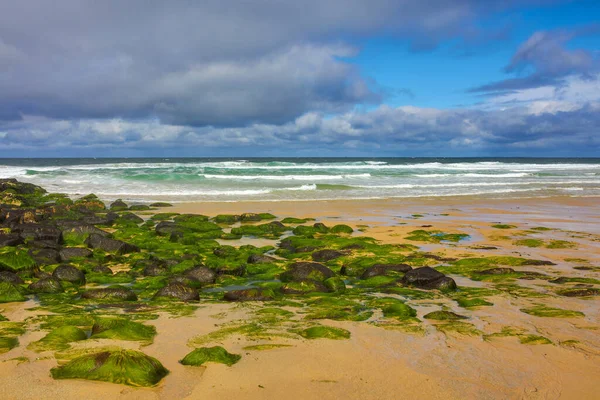 Côte Sauvage Quiberon France — Photo