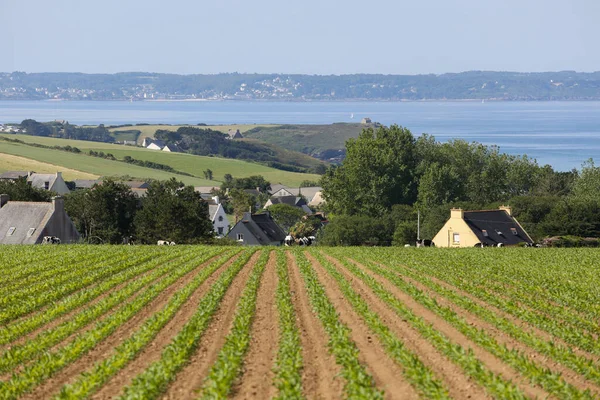 Paisagens Bretanha Francesa — Fotografia de Stock