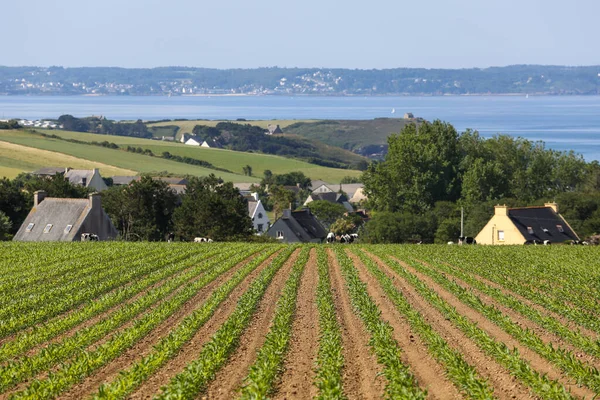 Paisagens Bretanha Francesa — Fotografia de Stock