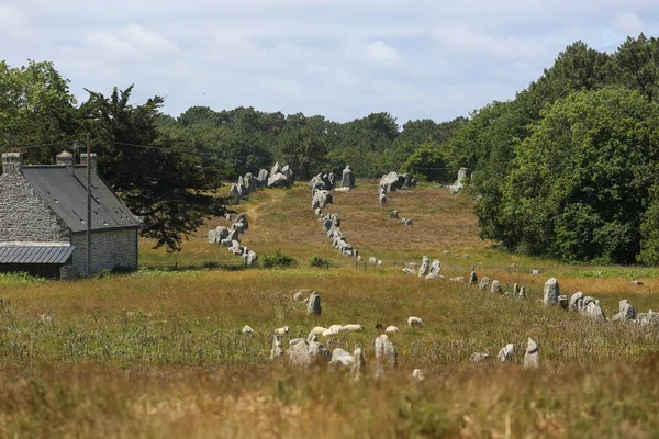 Paisagens Bretanha Francesa — Fotografia de Stock