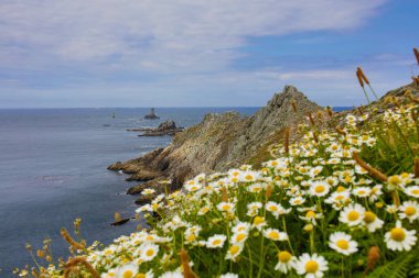 Fransa 'nın Britanya manzaraları