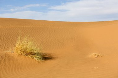 Balıkçı kulübeleri Fransız Atlantik kıyıları