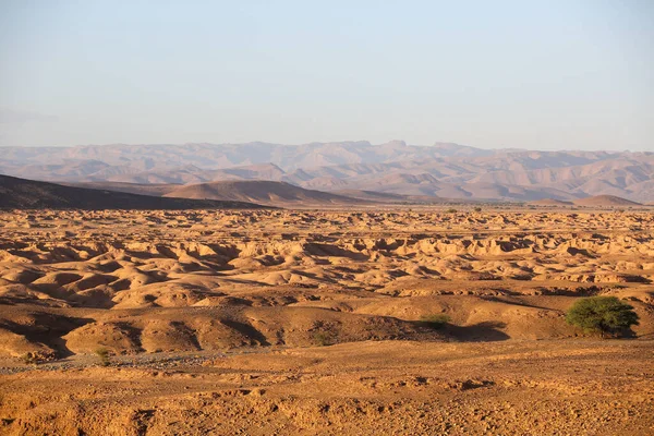 Paysage Maroc — Photo