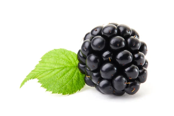 Blackberry Close Marco Green Leaf Clipping Path Full Depth Field — Stock Photo, Image