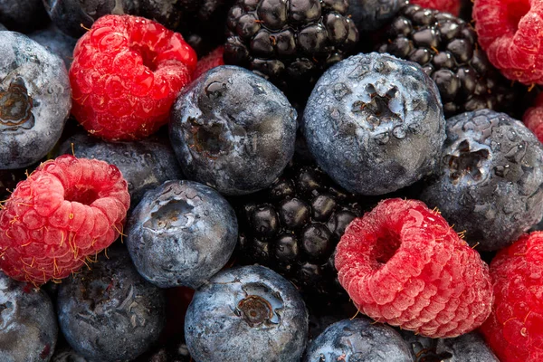Set Fresh Berries Blueberry Blackberry Raspberry Close Macro — Stock Photo, Image