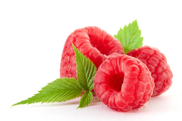 Raspberry Close Marco Green Leaf Clipping Path — Stock Photo, Image