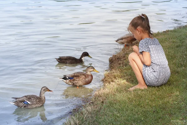 Ein Kleines Mädchen Sitzt See Und Füttert Die Enten — Stockfoto