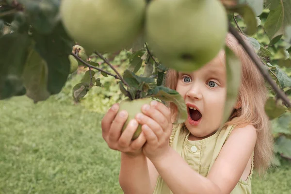 Niña Rubia Vestido Verde Arranca Una Manzana Árbol Con Admiración — Foto de Stock