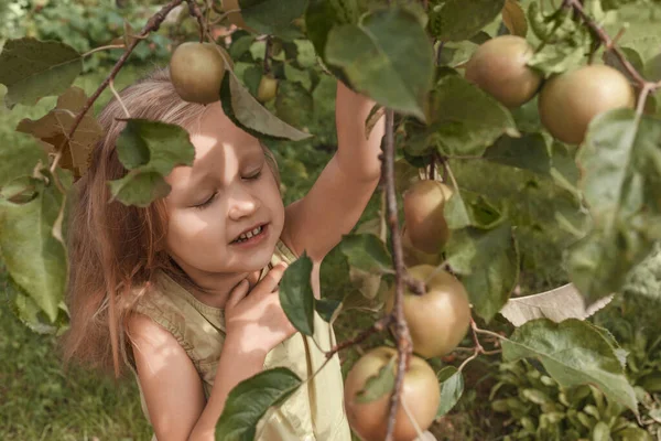 Niña Rubia Vestido Verde Aferra Una Rama Árbol Llena Manzanas — Foto de Stock