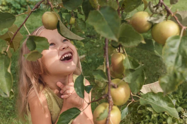 Little Blonde Girl Green Dress Looks Tree Apples — Stock Photo, Image