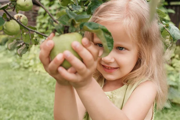 Niña Rubia Envolvió Sus Manos Alrededor Una Manzana Verde Árbol — Foto de Stock